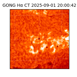 gong - 2025-09-01T20:00:42