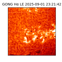 gong - 2025-09-01T23:21:42