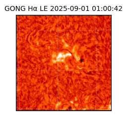 gong - 2025-09-01T01:00:42