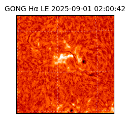 gong - 2025-09-01T02:00:42