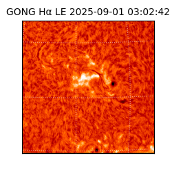 gong - 2025-09-01T03:02:42