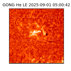 gong - 2025-09-01T05:00:42