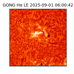 gong - 2025-09-01T06:00:42