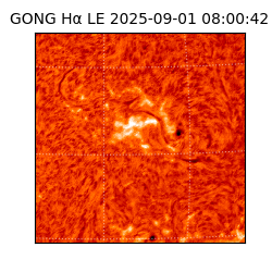 gong - 2025-09-01T08:00:42