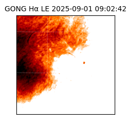 gong - 2025-09-01T09:02:42