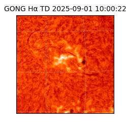 gong - 2025-09-01T10:00:22