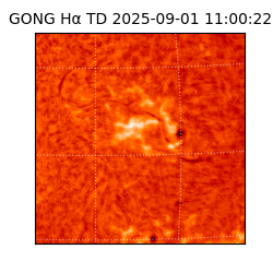 gong - 2025-09-01T11:00:22