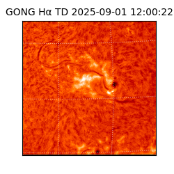 gong - 2025-09-01T12:00:22