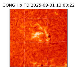 gong - 2025-09-01T13:00:22