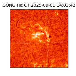 gong - 2025-09-01T14:03:42