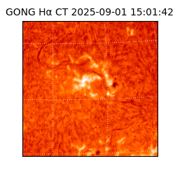 gong - 2025-09-01T15:01:42