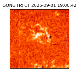 gong - 2025-09-01T19:00:42