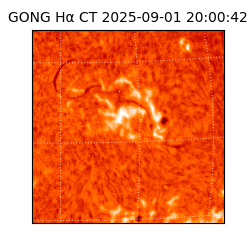 gong - 2025-09-01T20:00:42