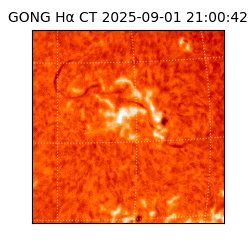 gong - 2025-09-01T21:00:42