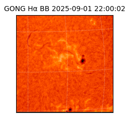 gong - 2025-09-01T22:00:02