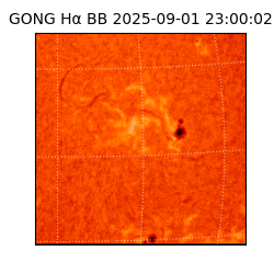 gong - 2025-09-01T23:00:02