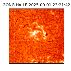 gong - 2025-09-01T23:21:42
