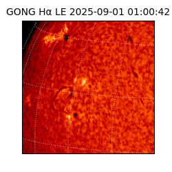 gong - 2025-09-01T01:00:42