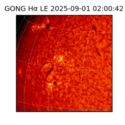 gong - 2025-09-01T02:00:42