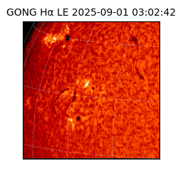 gong - 2025-09-01T03:02:42