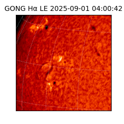 gong - 2025-09-01T04:00:42