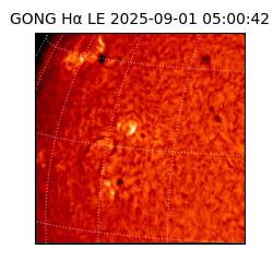 gong - 2025-09-01T05:00:42