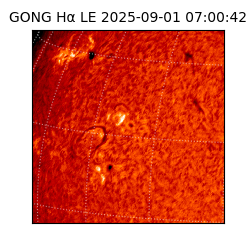 gong - 2025-09-01T07:00:42