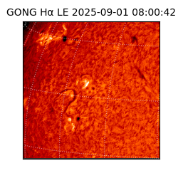 gong - 2025-09-01T08:00:42