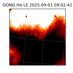 gong - 2025-09-01T09:02:42