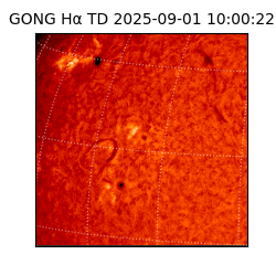 gong - 2025-09-01T10:00:22