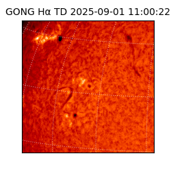 gong - 2025-09-01T11:00:22