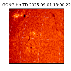 gong - 2025-09-01T13:00:22