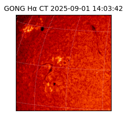 gong - 2025-09-01T14:03:42