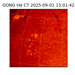 gong - 2025-09-01T15:01:42