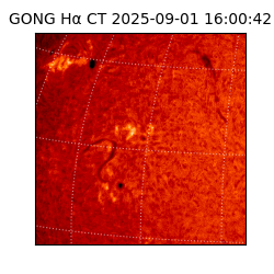 gong - 2025-09-01T16:00:42