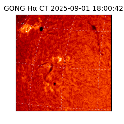 gong - 2025-09-01T18:00:42