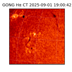 gong - 2025-09-01T19:00:42