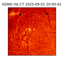 gong - 2025-09-01T20:00:42