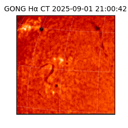 gong - 2025-09-01T21:00:42