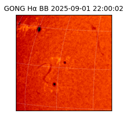 gong - 2025-09-01T22:00:02