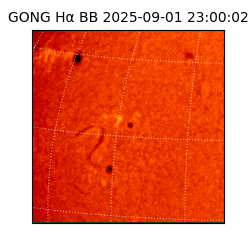 gong - 2025-09-01T23:00:02