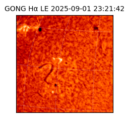 gong - 2025-09-01T23:21:42