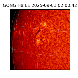 gong - 2025-09-01T02:00:42