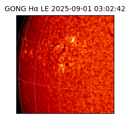 gong - 2025-09-01T03:02:42
