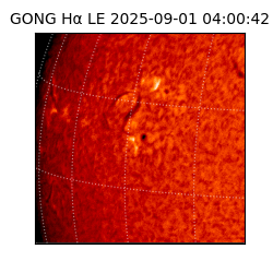 gong - 2025-09-01T04:00:42