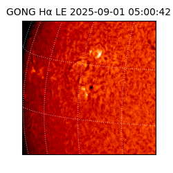 gong - 2025-09-01T05:00:42