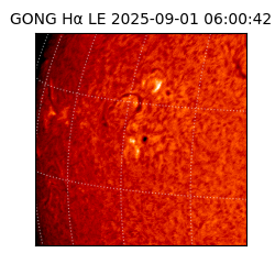 gong - 2025-09-01T06:00:42