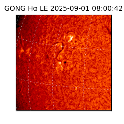 gong - 2025-09-01T08:00:42