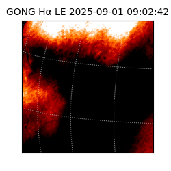 gong - 2025-09-01T09:02:42