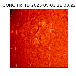 gong - 2025-09-01T11:00:22